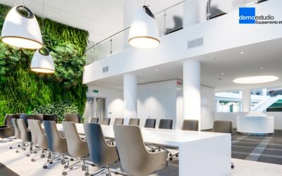 Beneficios de la decoración vegetal en oficinas y hostelería